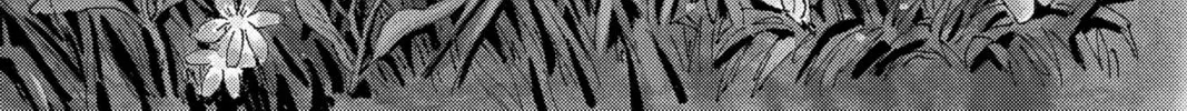 Read Honey and Clover chapter 37 image 1 on Lezhin