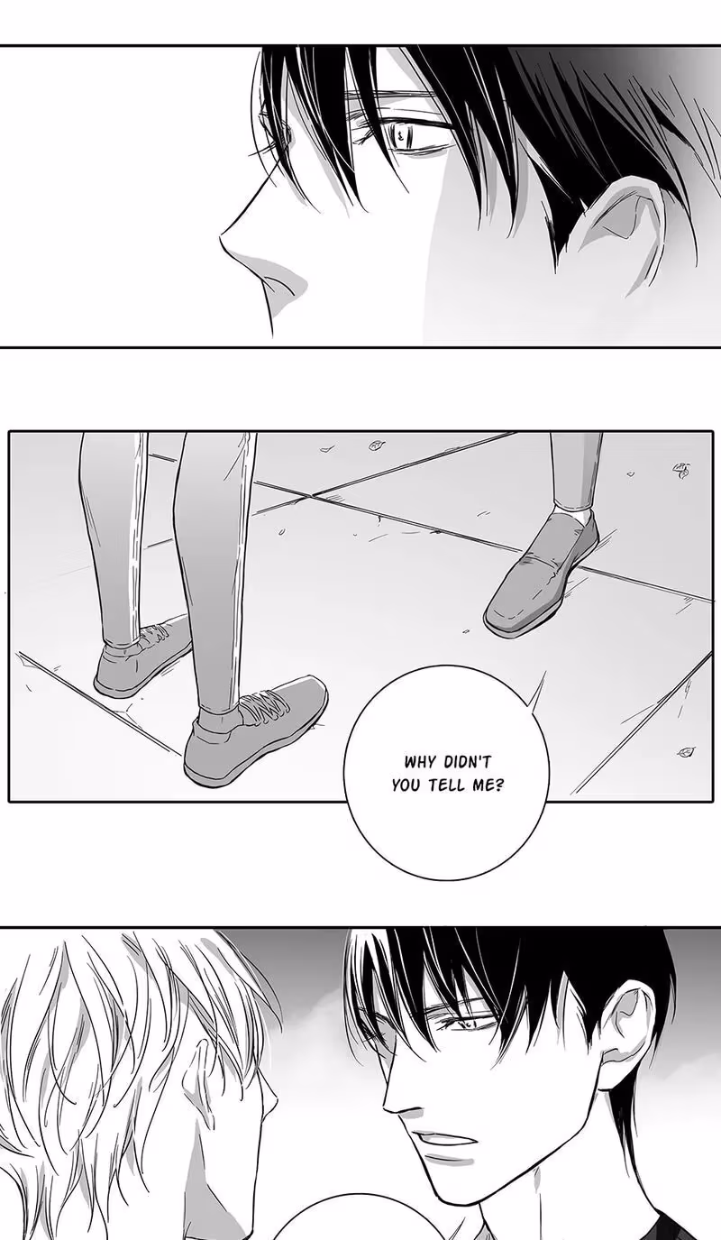 Read Honey Catch chapter 91 image 3 on Lezhin