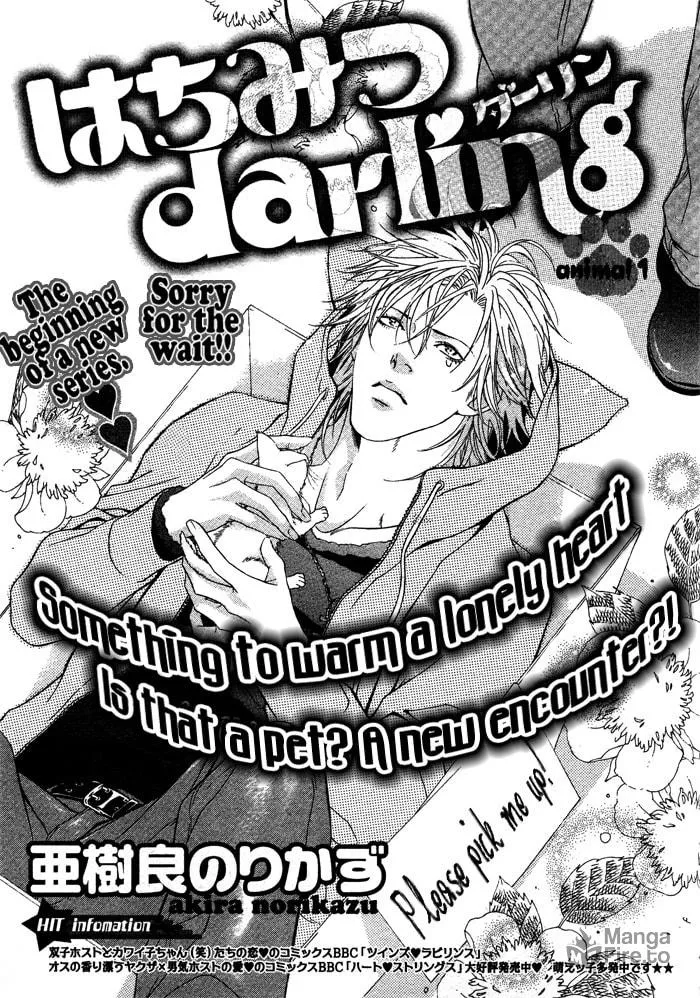 Read Honey Darling chapter 1 image 4 on Lezhin