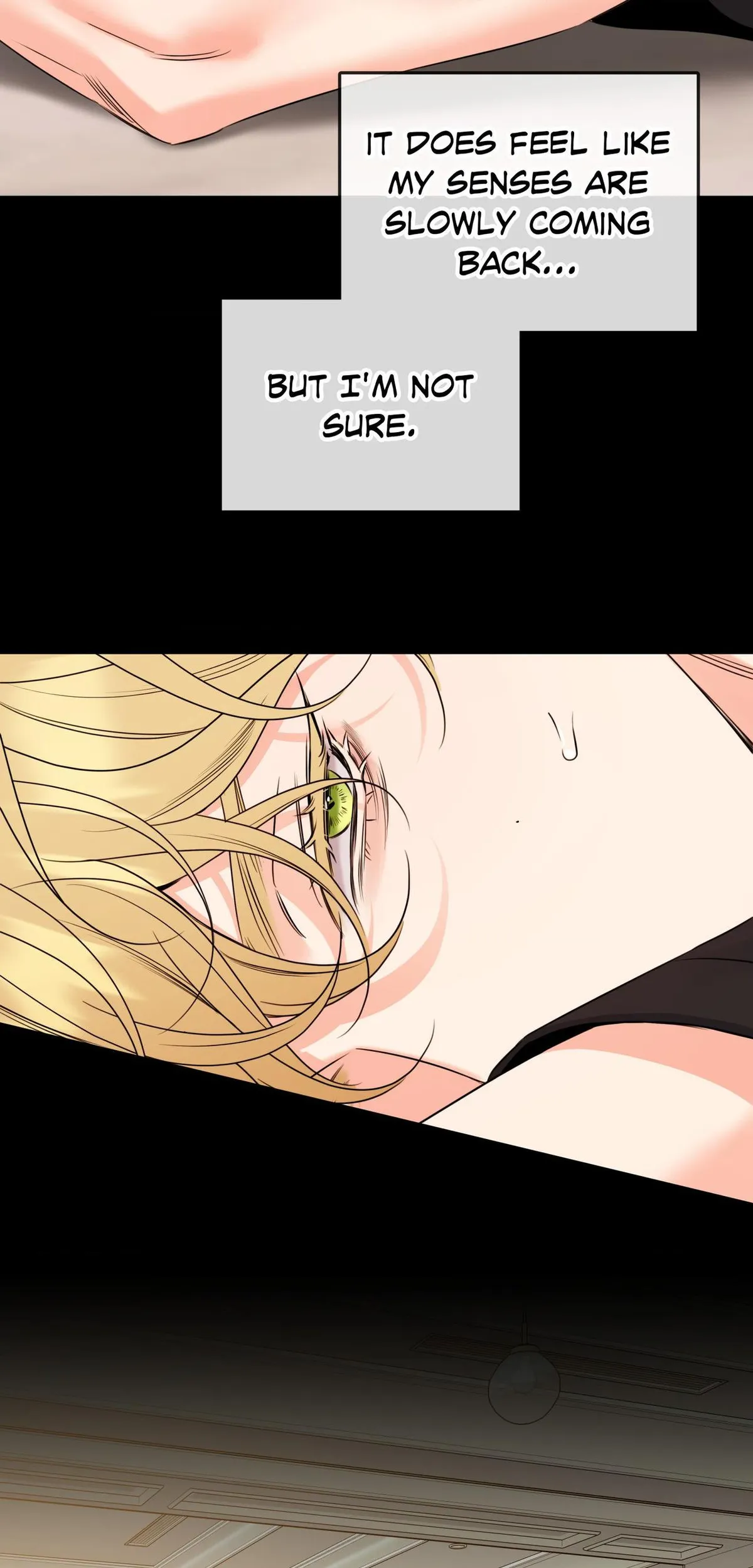 Honey Trouble Chapter 52 page 5 - 
