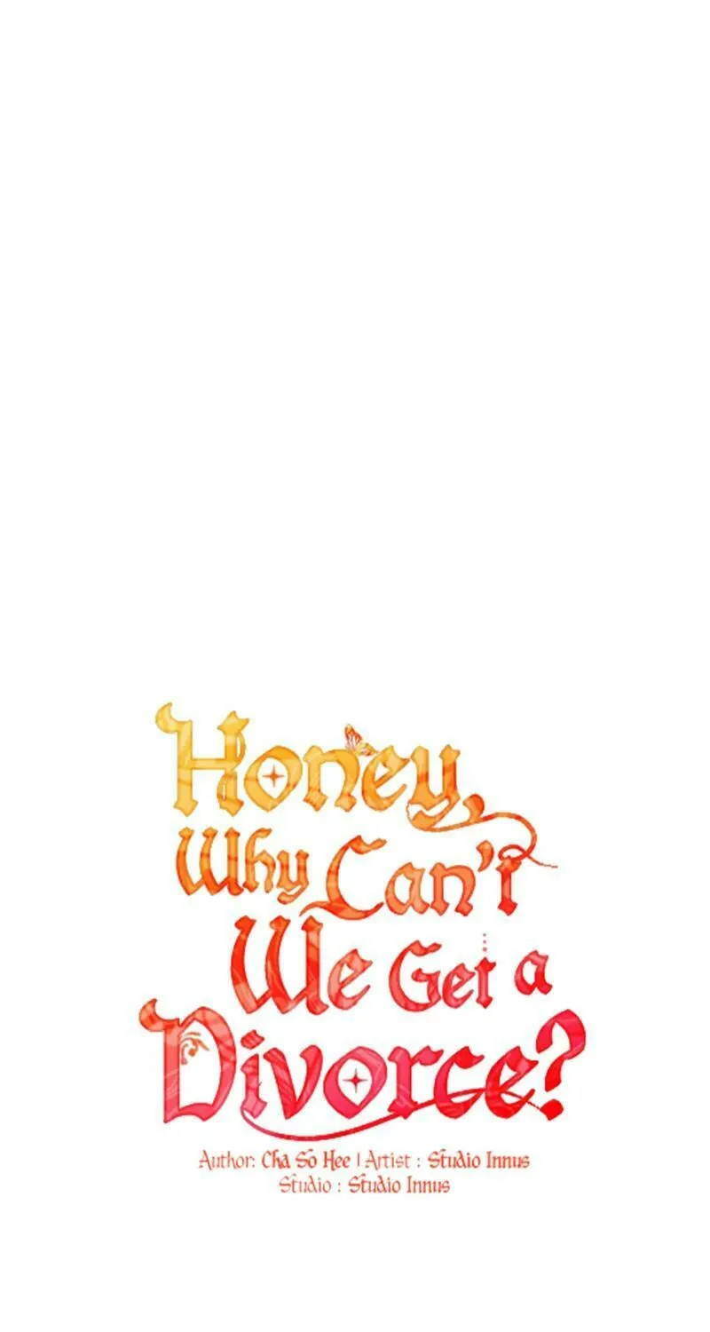 Honey, Why Can't We Get a Divorce? Chapter 12 page 29 - 