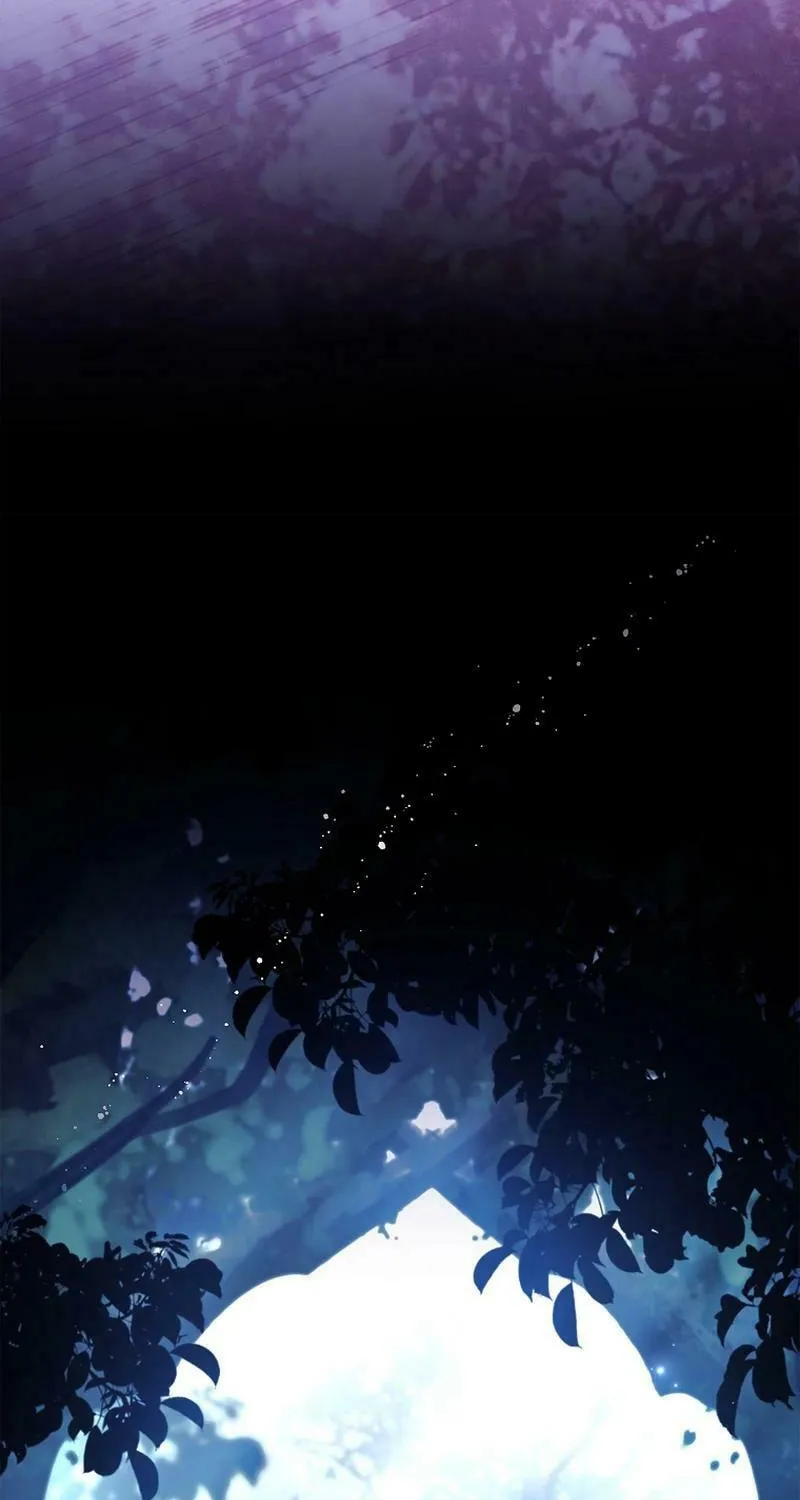 Honey, Why Can't We Get a Divorce? Chapter 13 page 67 - 