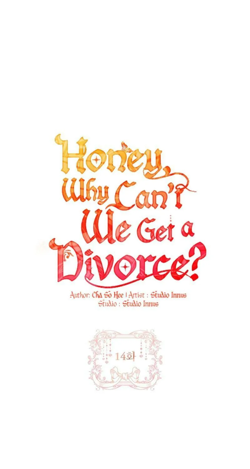 Honey, Why Can't We Get a Divorce? Chapter 14 page 29 - 