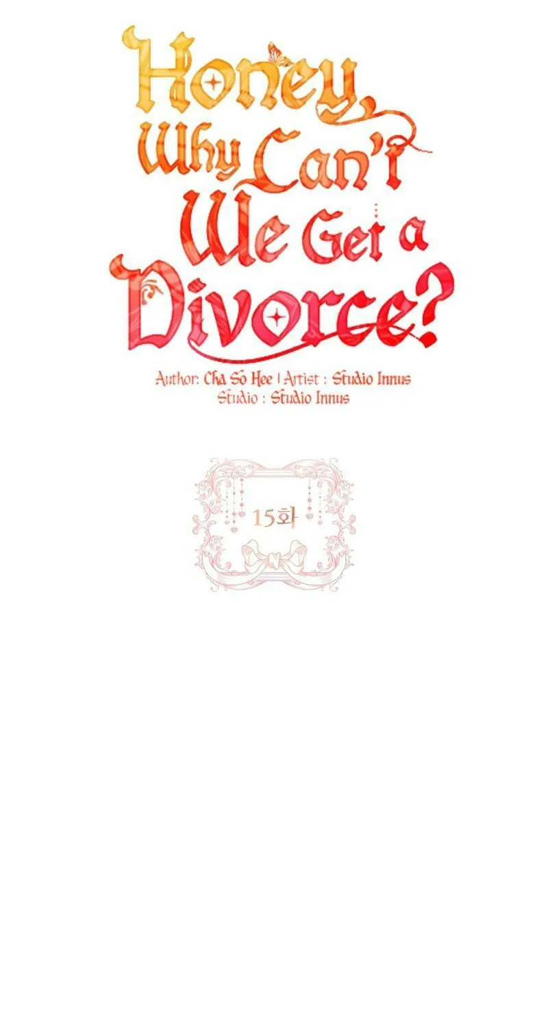 Honey, Why Can't We Get a Divorce? Chapter 15 page 28 - 