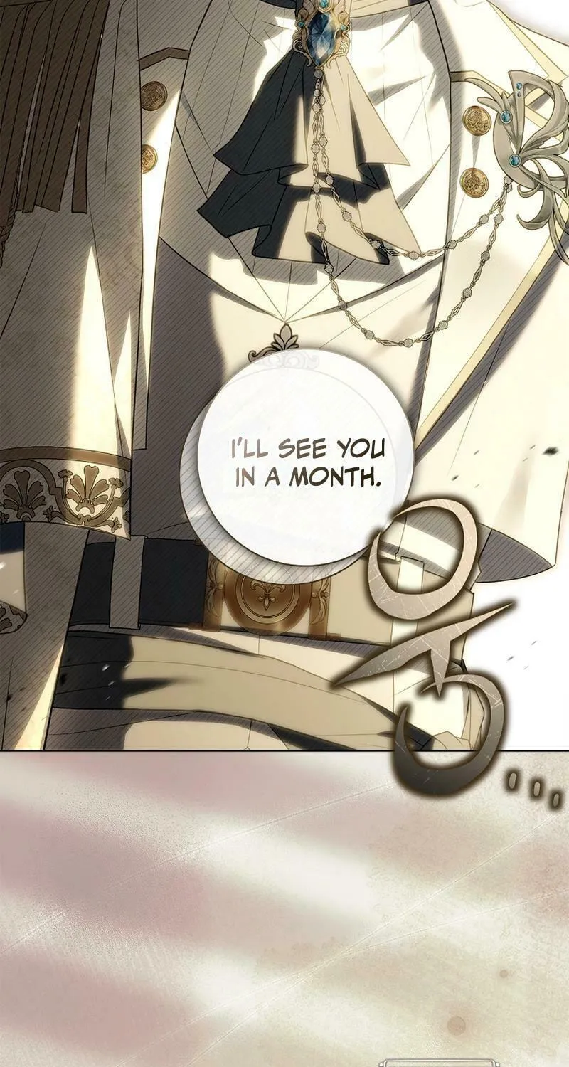 Honey, Why Can't We Get a Divorce? Chapter 16 page 41 - 