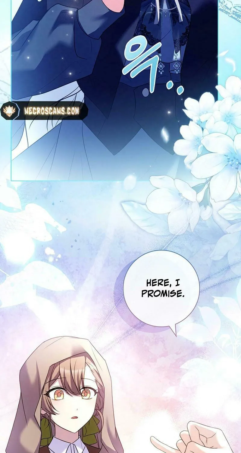 Honey, Why Can't We Get a Divorce? Chapter 17 page 42 - 
