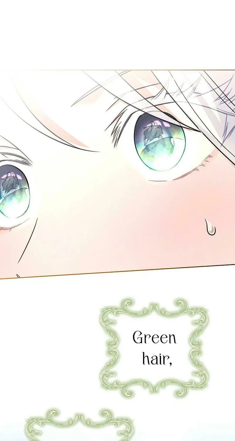 Honey, Why Can't We Get a Divorce? Chapter 17 page 77 - 