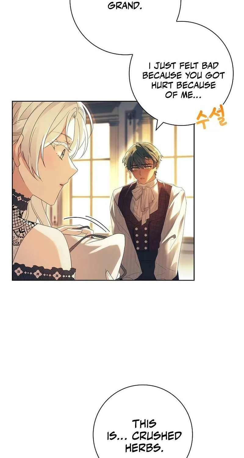 Honey, Why Can't We Get a Divorce? Chapter 21 page 12 - 