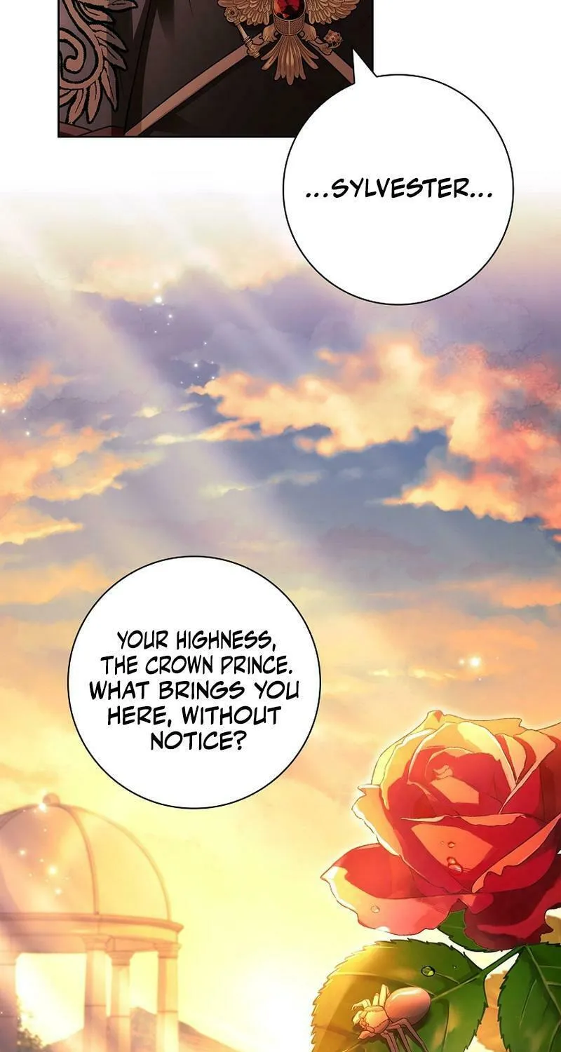 Honey, Why Can't We Get a Divorce? Chapter 22 page 70 - 