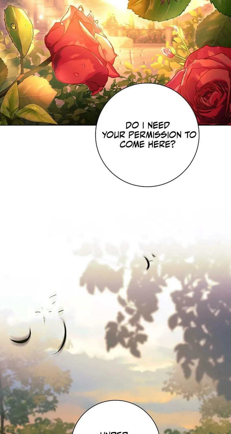 Honey, Why Can't We Get a Divorce? Chapter 22 page 71 - 