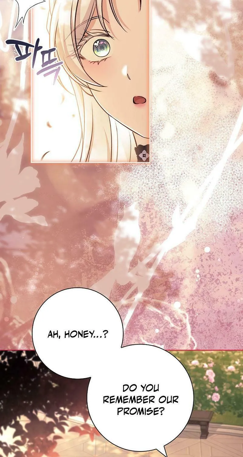 Honey, Why Can't We Get a Divorce? Chapter 23 page 39 - 