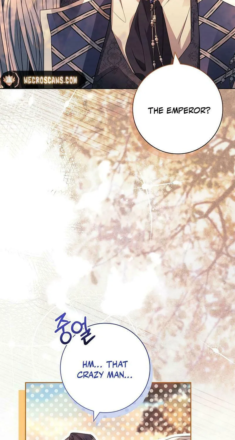 Honey, Why Can't We Get a Divorce? Chapter 23 page 48 - 