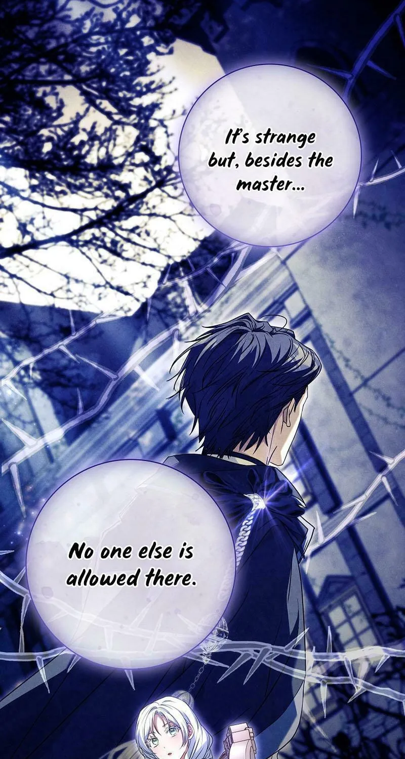 Honey, Why Can't We Get a Divorce? Chapter 23 page 80 - 