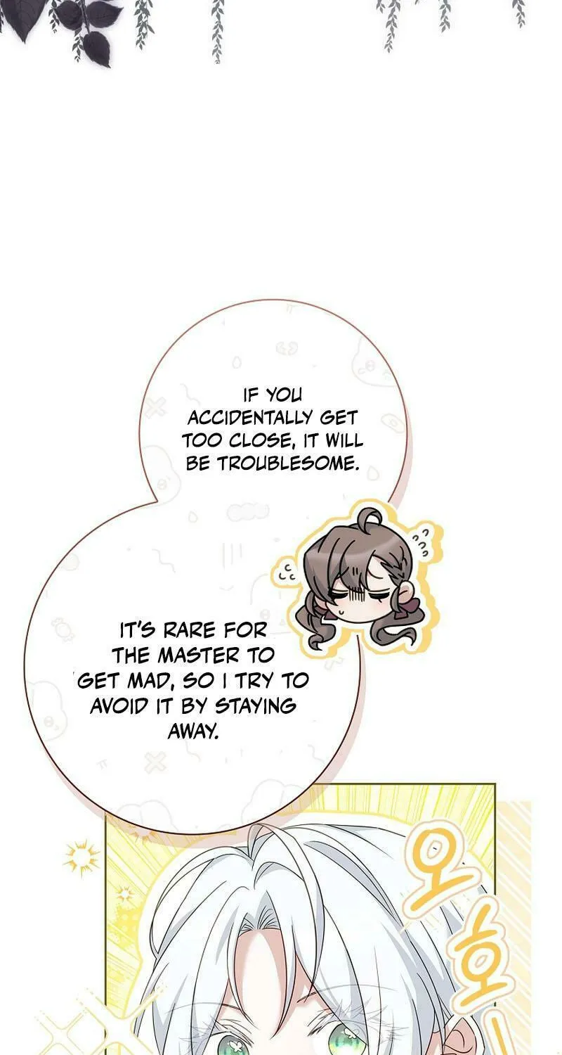 Honey, Why Can't We Get a Divorce? Chapter 23 page 82 - 