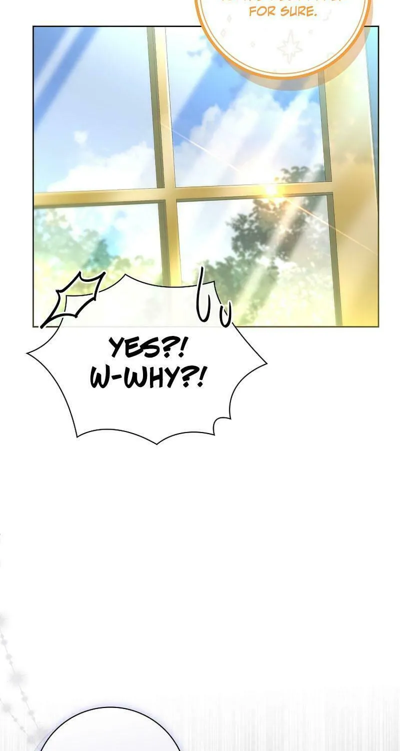 Honey, Why Can't We Get a Divorce? Chapter 23 page 85 - 