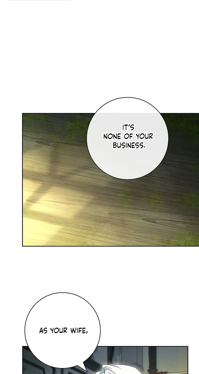 Honey, Why Can't We Get a Divorce? Chapter 24 page 25 - 