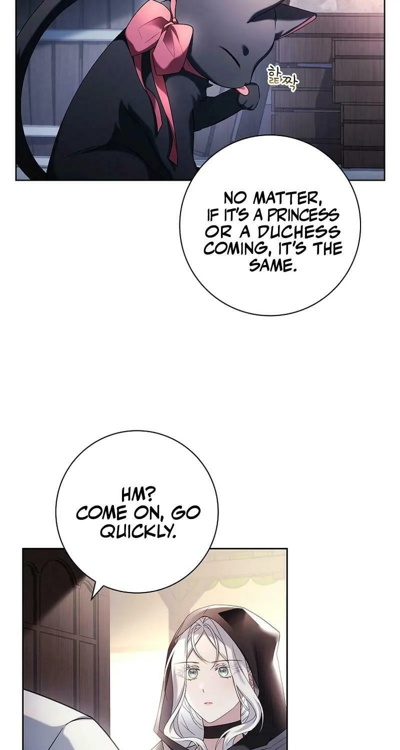 Honey, Why Can't We Get a Divorce? Chapter 25 page 45 - 