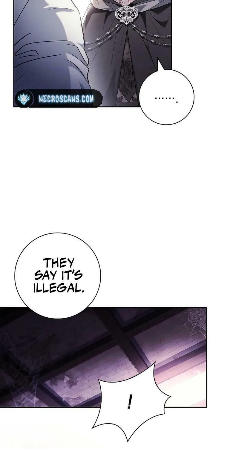 Honey, Why Can't We Get a Divorce? Chapter 25 page 46 - 