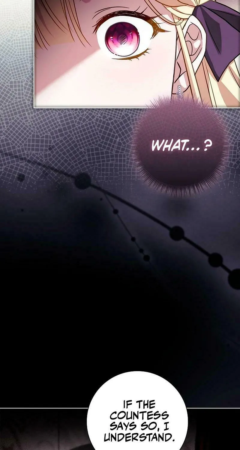Honey, Why Can't We Get a Divorce? Chapter 25 page 73 - 