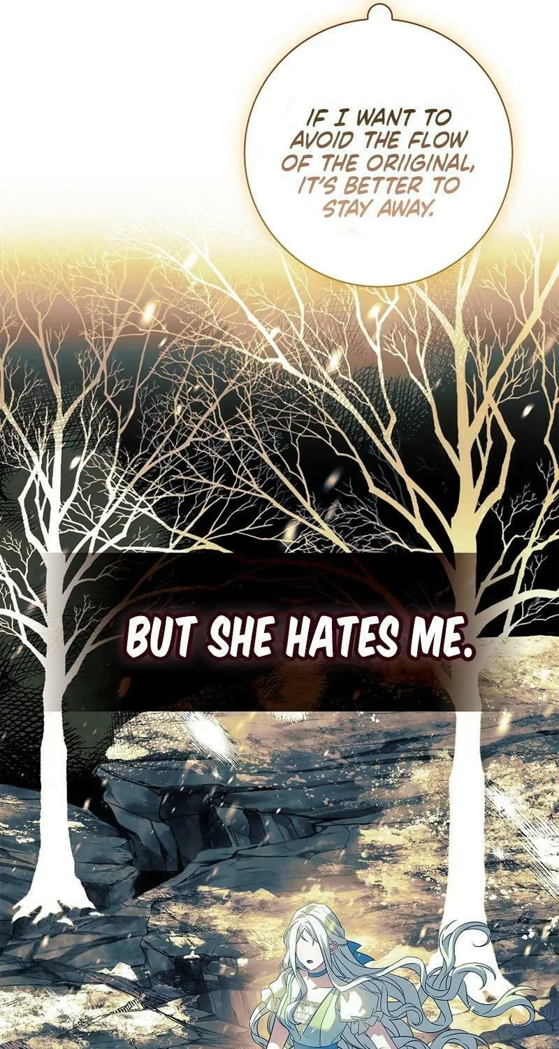 Honey, Why Can't We Get a Divorce? Chapter 31 page 64 - 