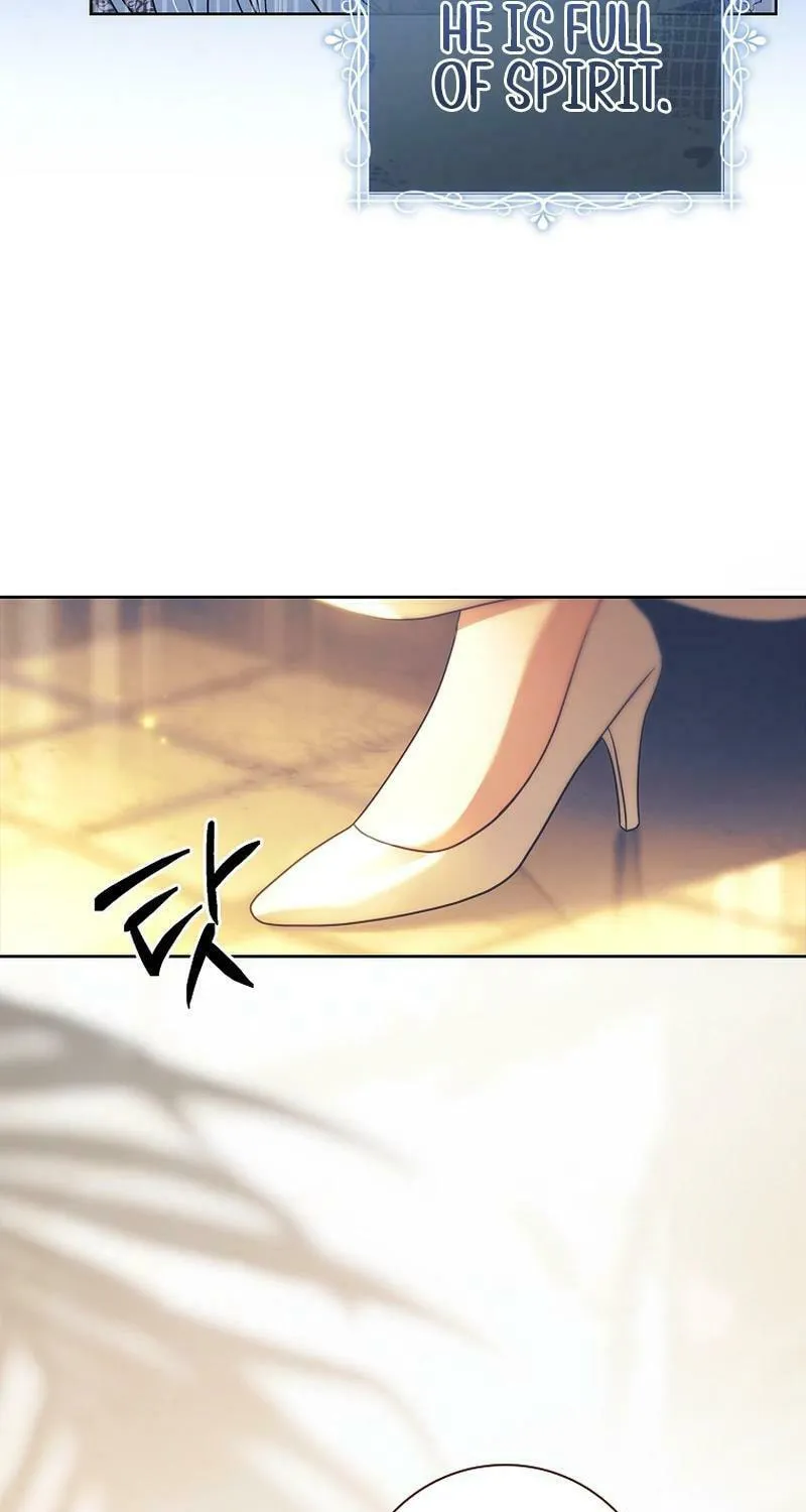 Honey, Why Can't We Get a Divorce? Chapter 33 page 50 - 