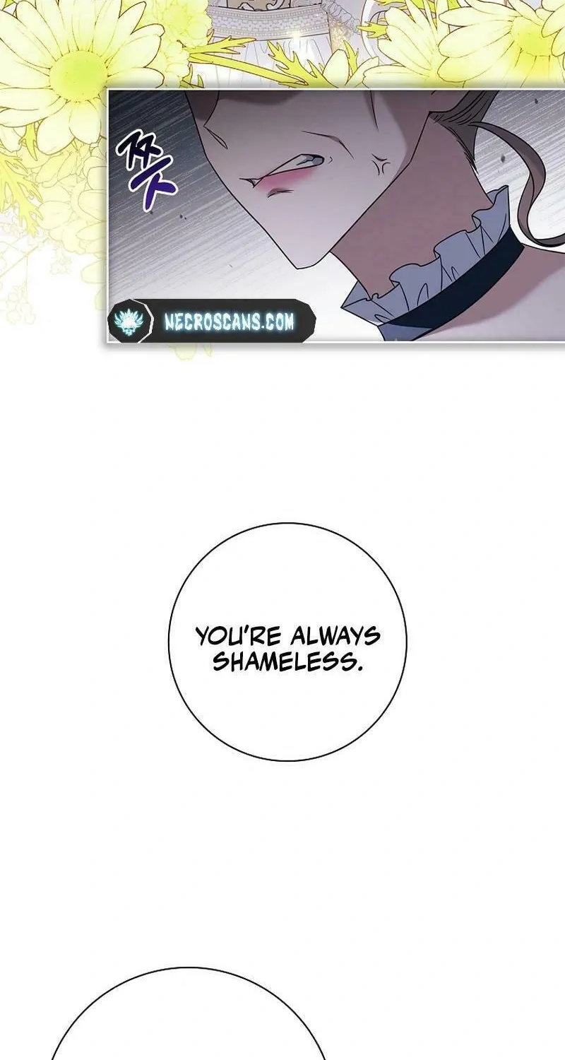 Honey, Why Can't We Get a Divorce? Chapter 34 page 74 - 