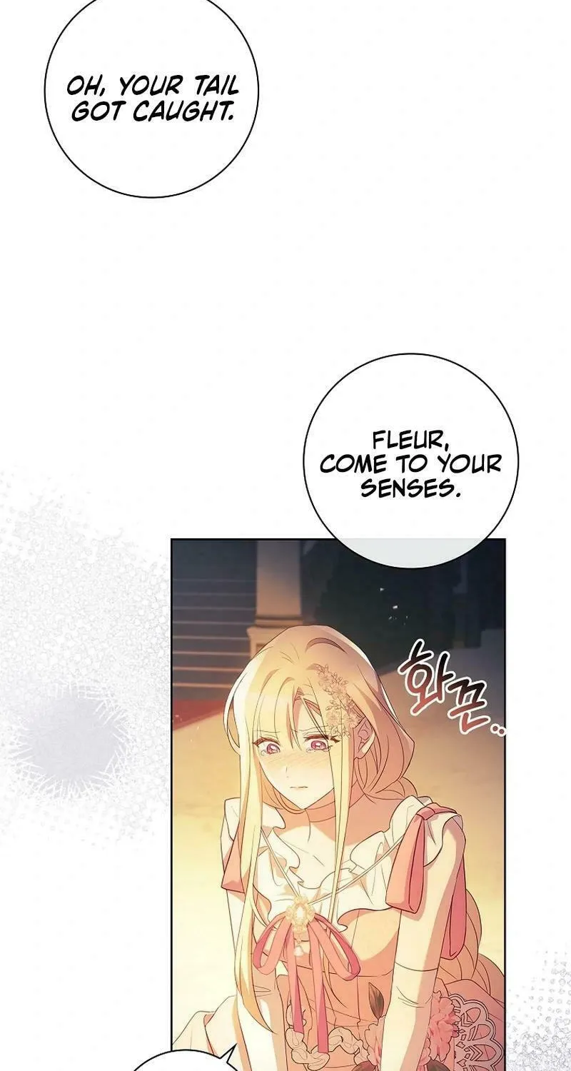 Honey, Why Can't We Get a Divorce? Chapter 35 page 67 - 