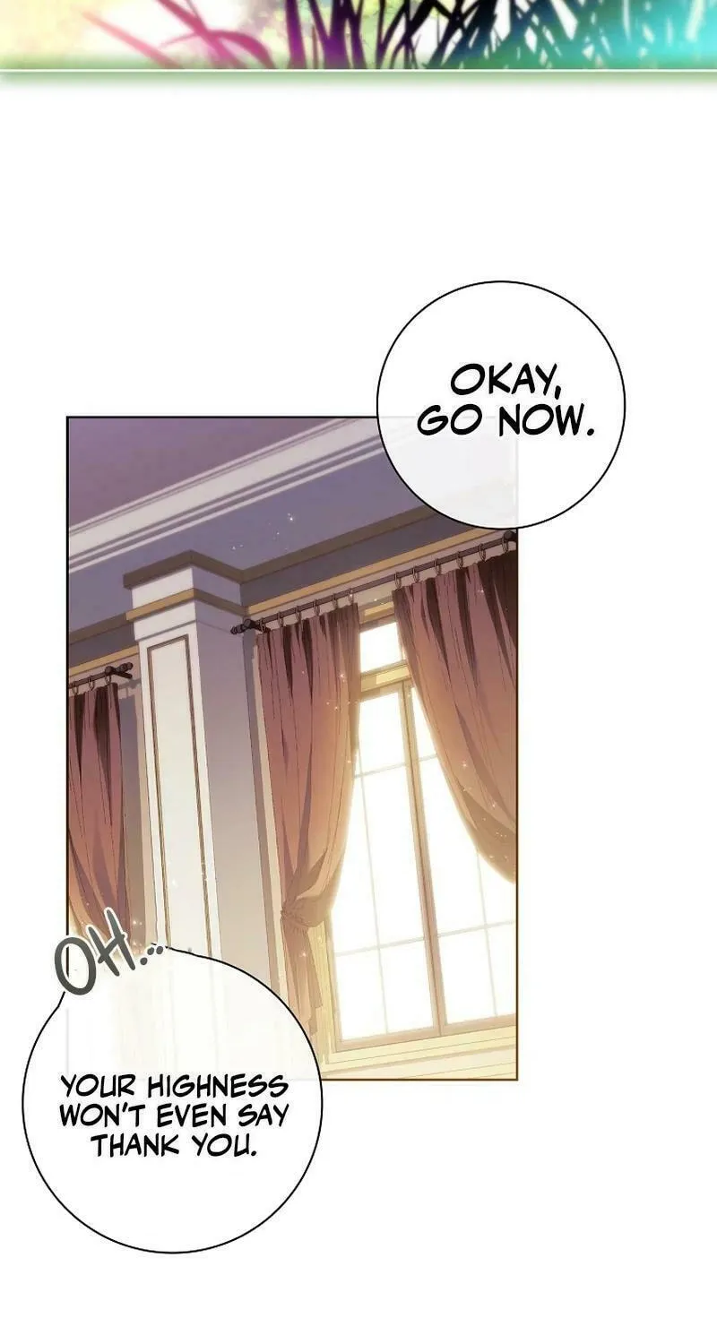 Honey, Why Can't We Get a Divorce? Chapter 36 page 70 - 