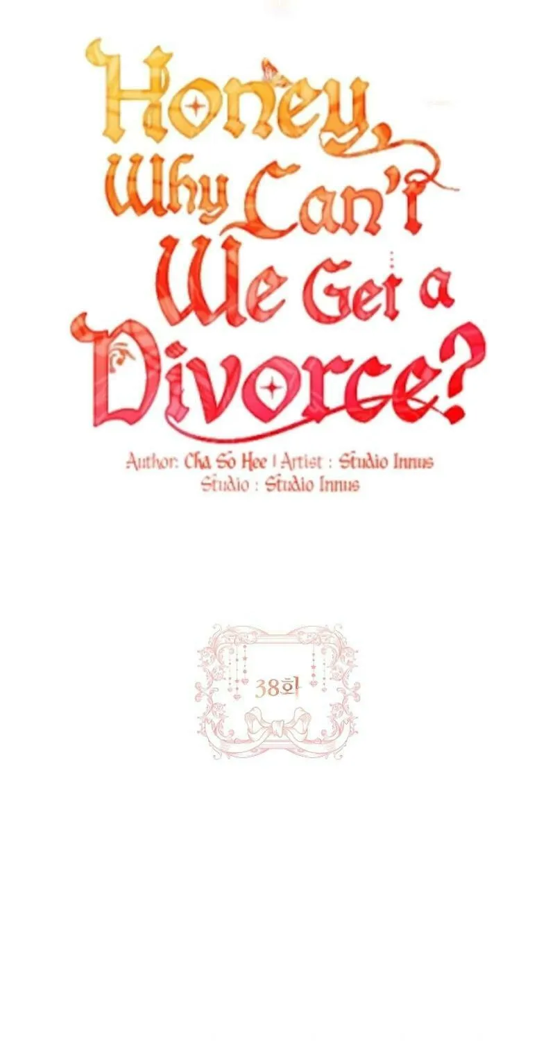 Honey, Why Can't We Get a Divorce? Chapter 38 page 9 - 