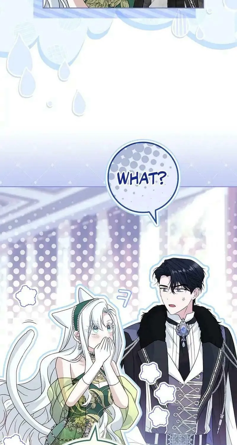 Honey, Why Can't We Get a Divorce? Chapter 41 page 65 - 