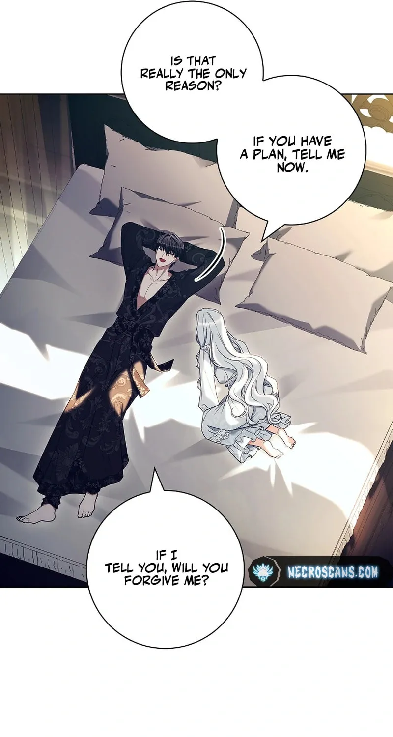 Honey, Why Can't We Get a Divorce? Chapter 43 page 70 - 