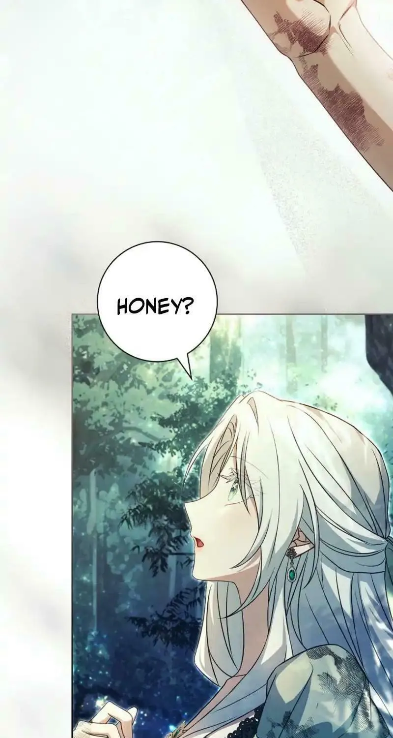 Honey, Why Can't We Get a Divorce? Chapter 52 page 47 - 