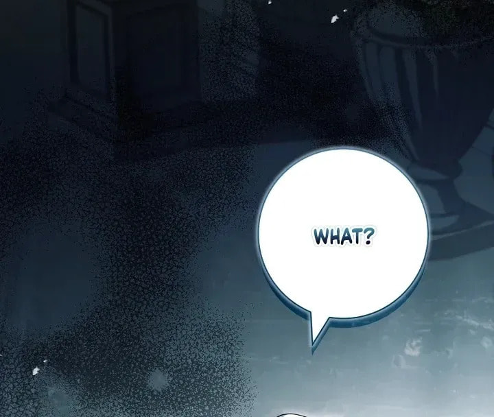 Honey, Why Can't We Get a Divorce? Chapter 61 page 16 - 