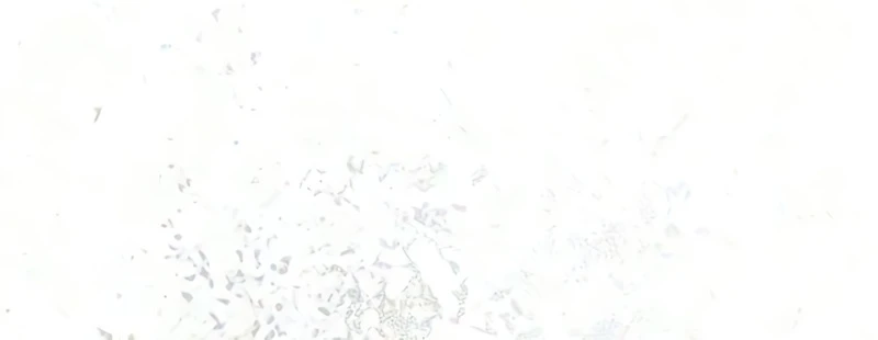 Read Hongdan chapter 1 image 75 on Lezhin