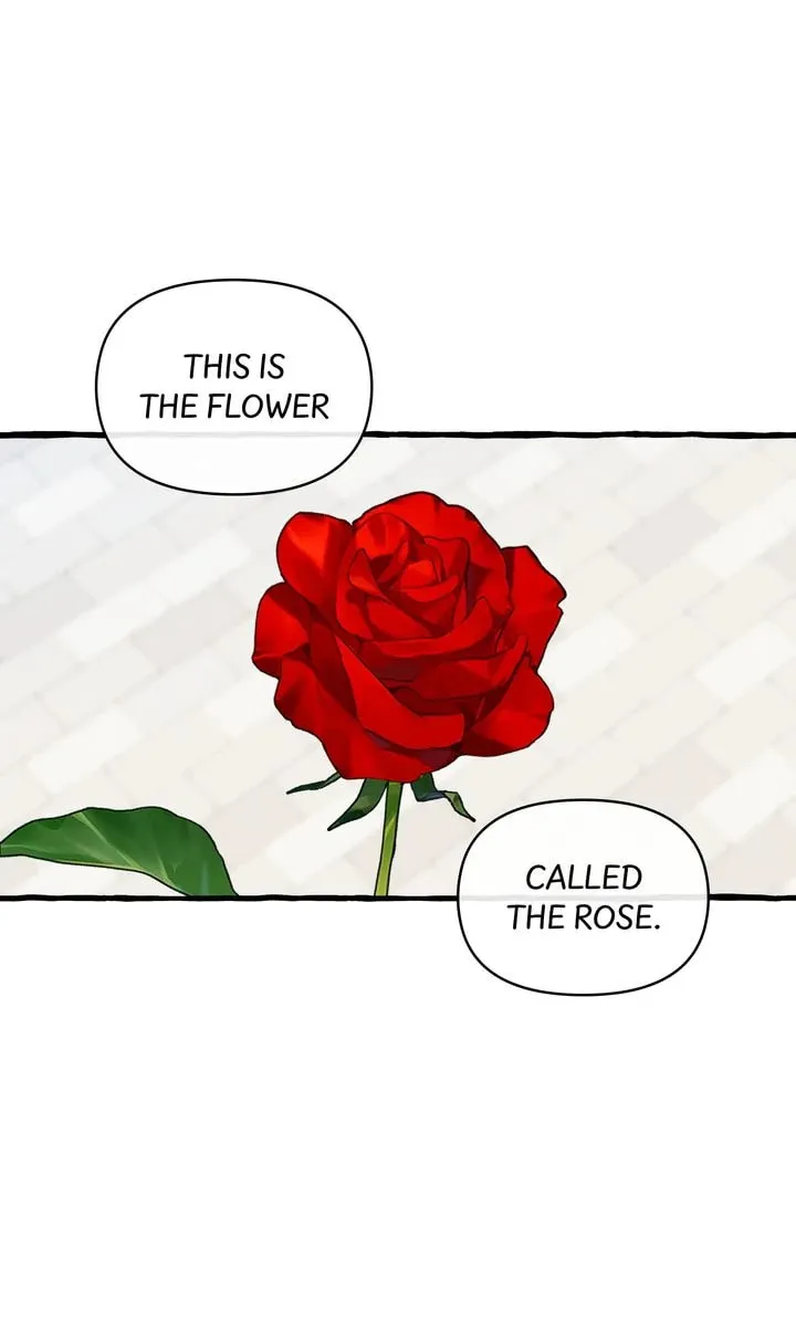 Read Hooked on Captain Charming chapter 28 image 36 on Lezhin