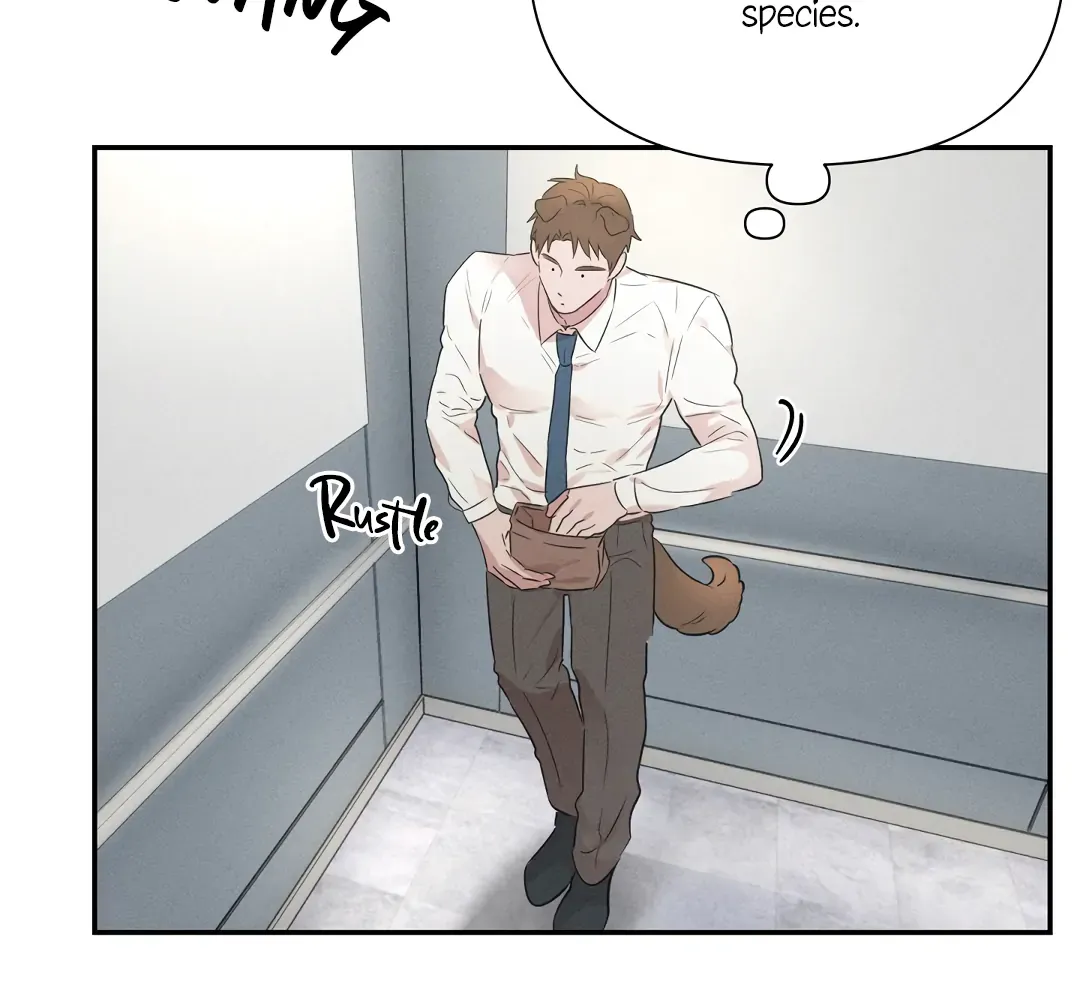 Read Hot and Steamy Bakery chapter 1 image 37 on Lezhin