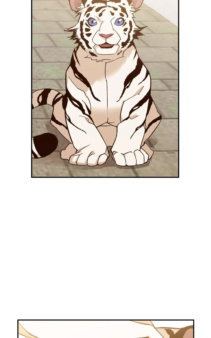 Read How a Goddess Wins Over Tigers chapter 1 image 31 on Lezhin