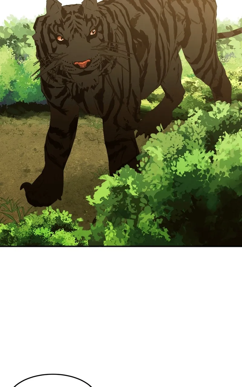 Read How a Goddess Wins Over Tigers chapter 2 image 228 on Lezhin
