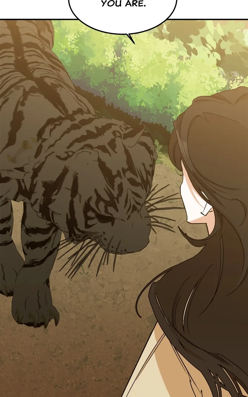 Read How a Goddess Wins Over Tigers chapter 2 image 232 on Lezhin