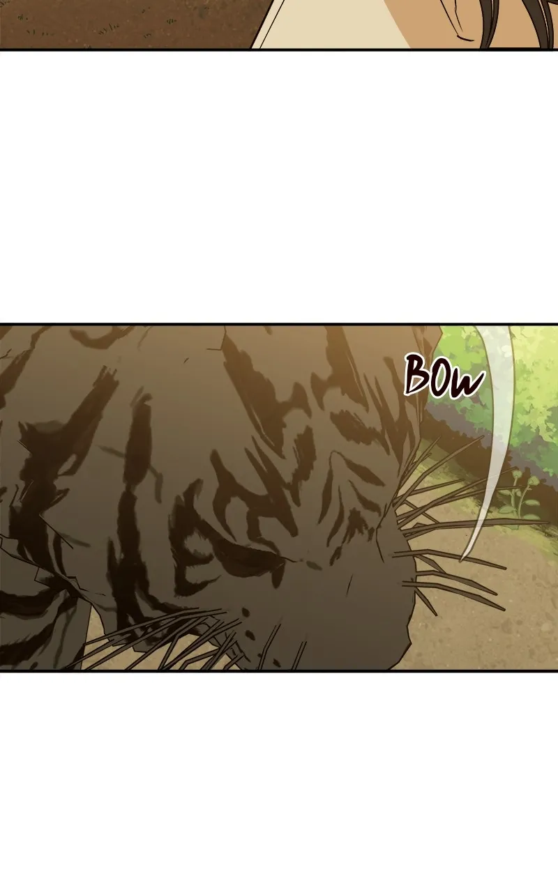 Read How a Goddess Wins Over Tigers chapter 2 image 233 on Lezhin