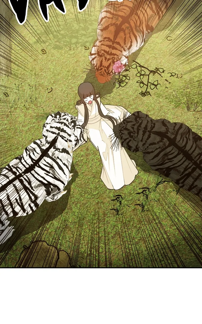 Read How a Goddess Wins Over Tigers chapter 3 image 24 on Lezhin