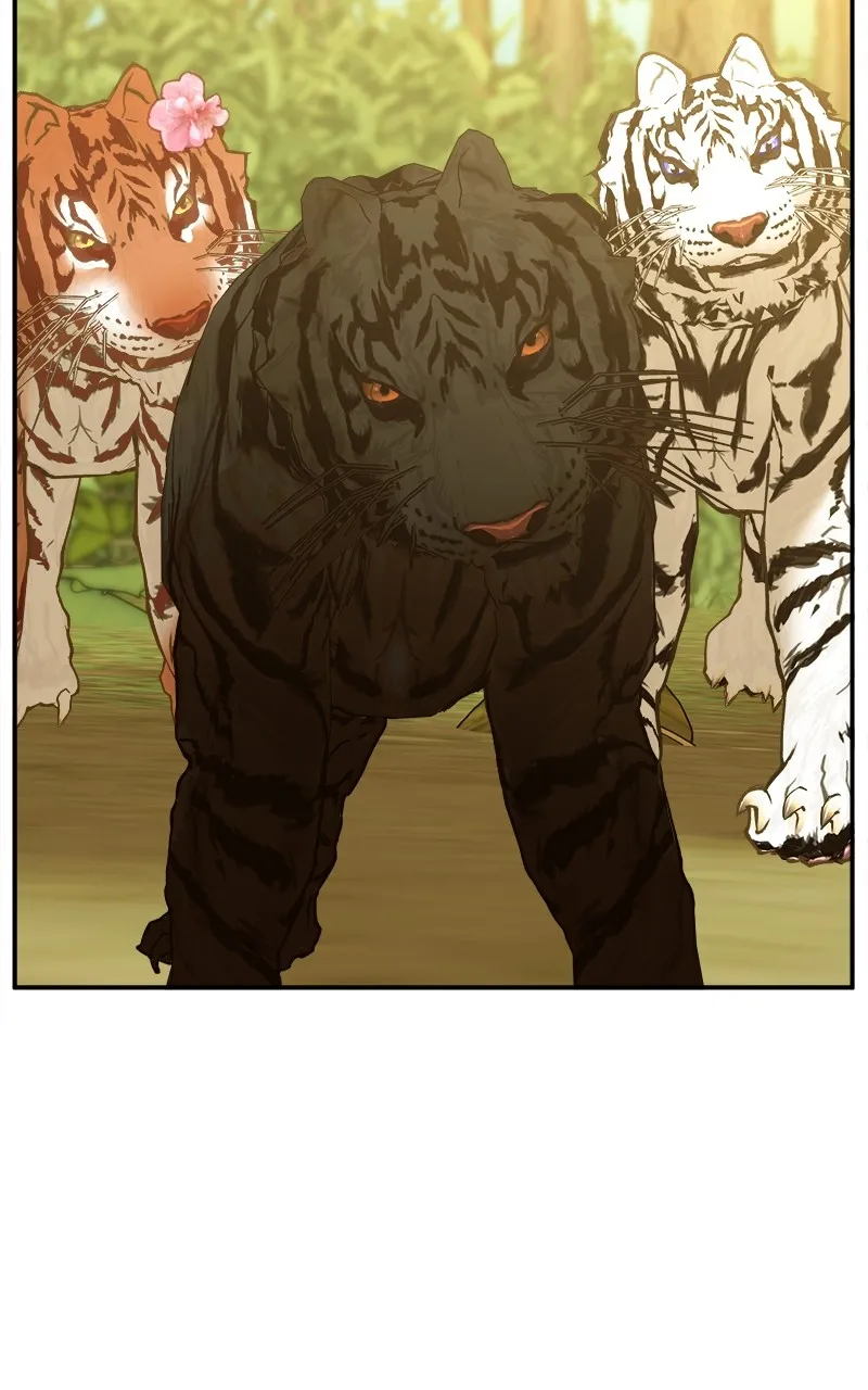 Read How a Goddess Wins Over Tigers chapter 3 image 48 on Lezhin