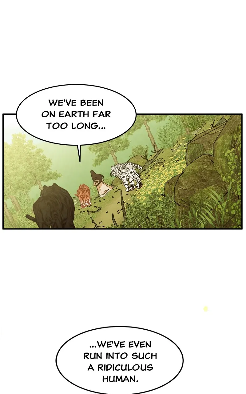 Read How a Goddess Wins Over Tigers chapter 3 image 79 on Lezhin