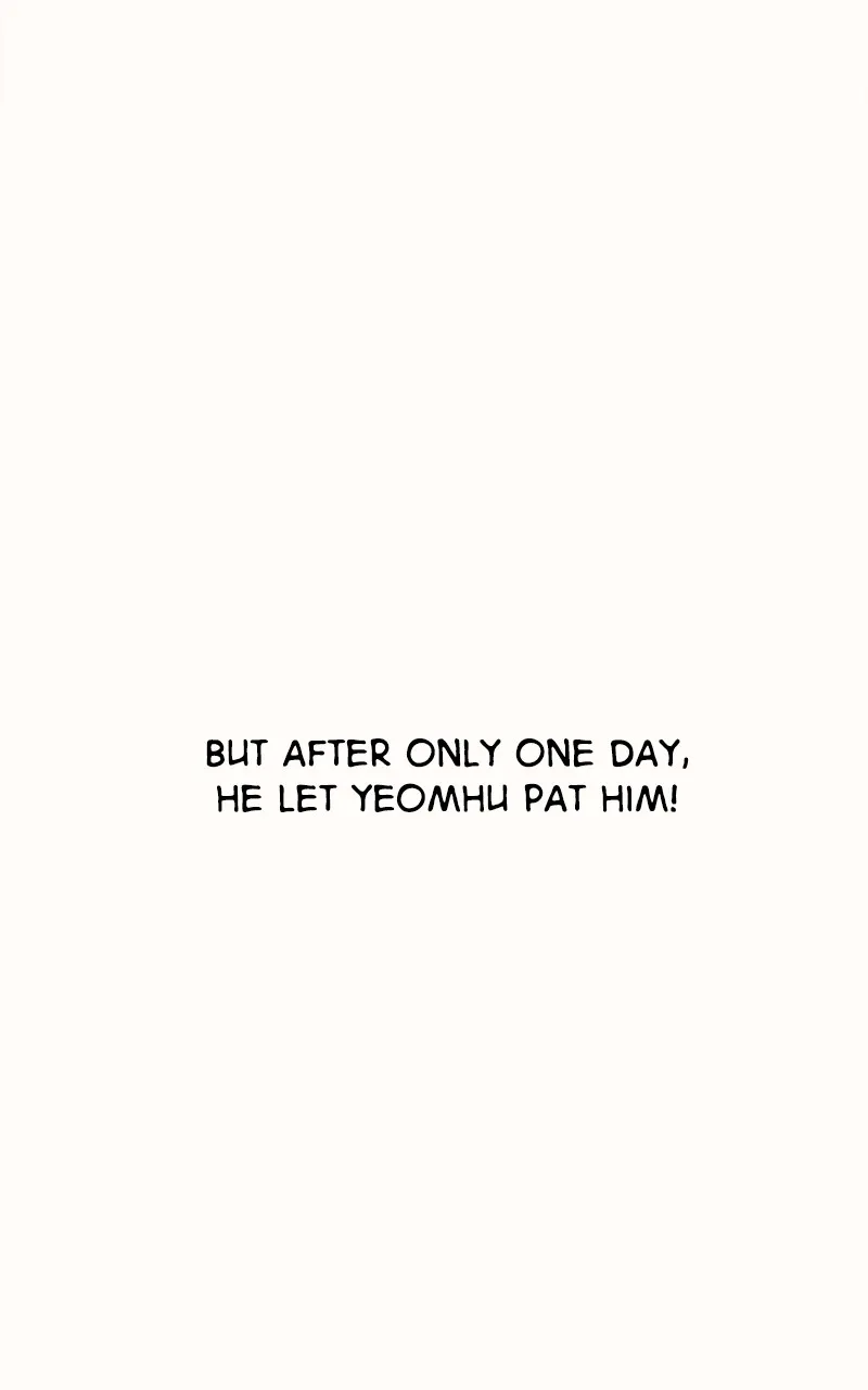 Read How a Goddess Wins Over Tigers chapter 33 image 159 on Lezhin