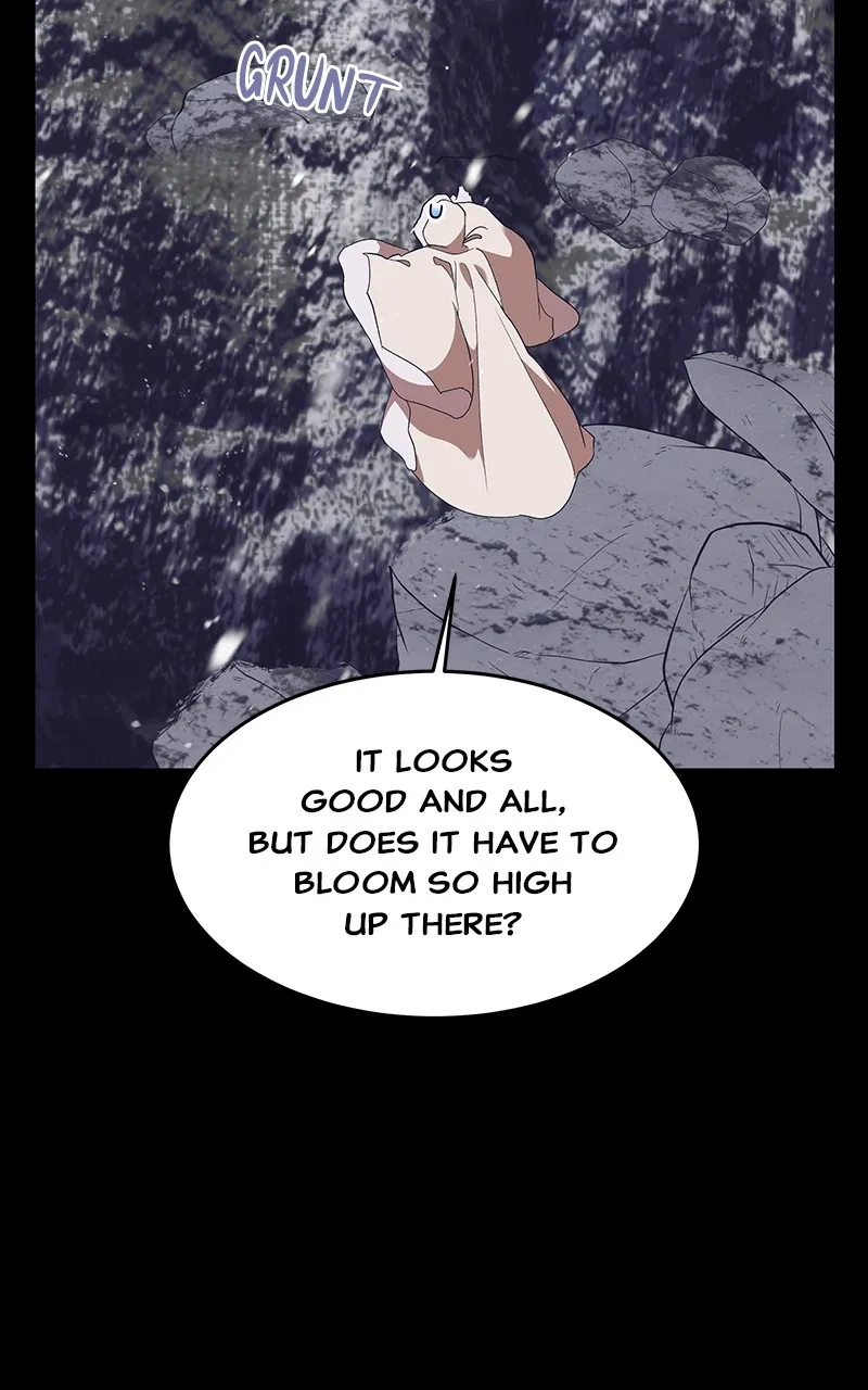 Read How a Goddess Wins Over Tigers chapter 54 image 5 on Lezhin