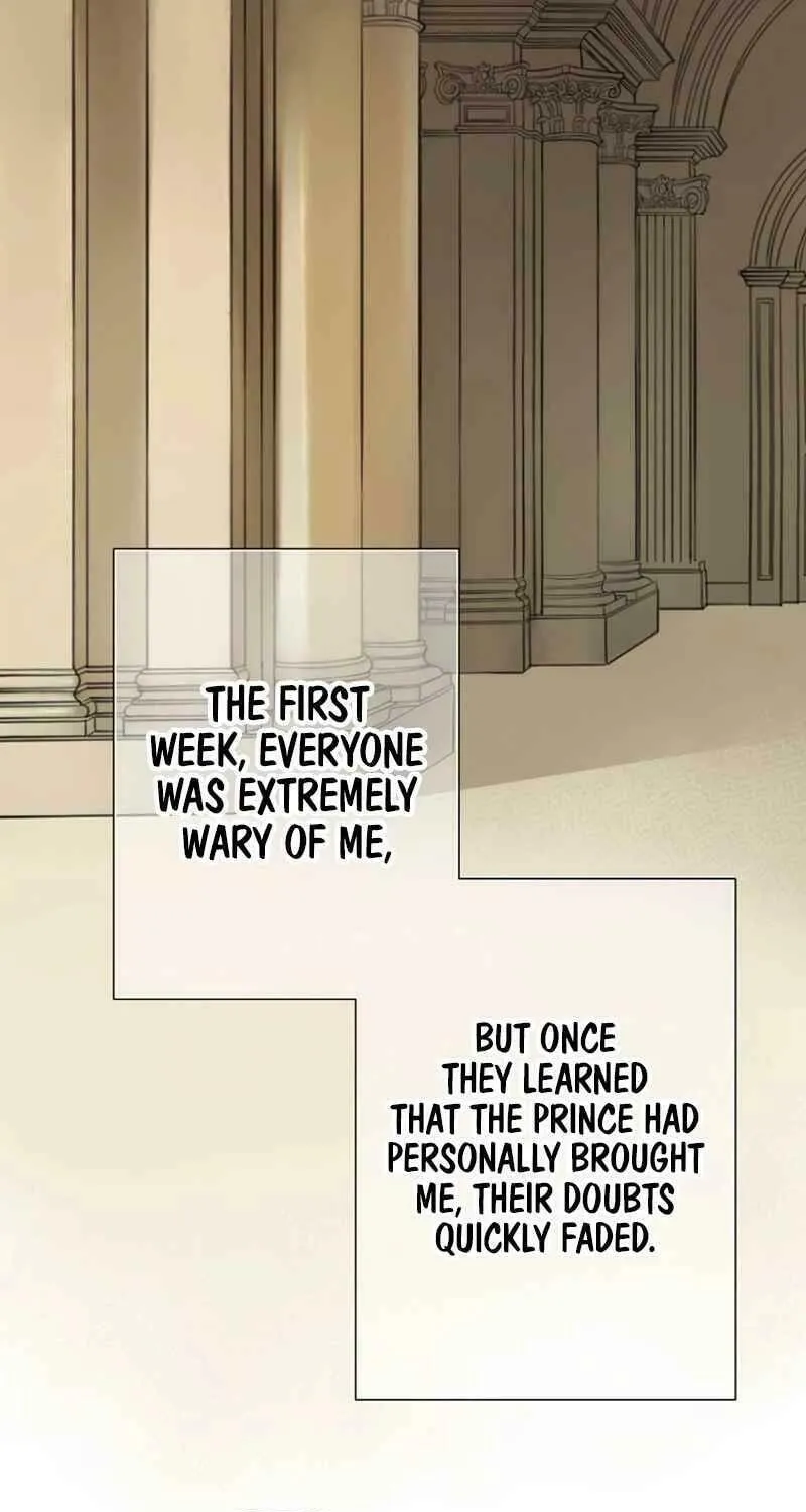 Read How He Got Divorced chapter 12 image 24 on Lezhin
