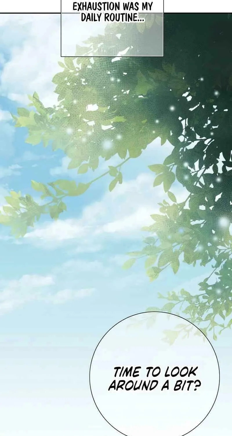 Read How He Got Divorced chapter 12 image 76 on Lezhin