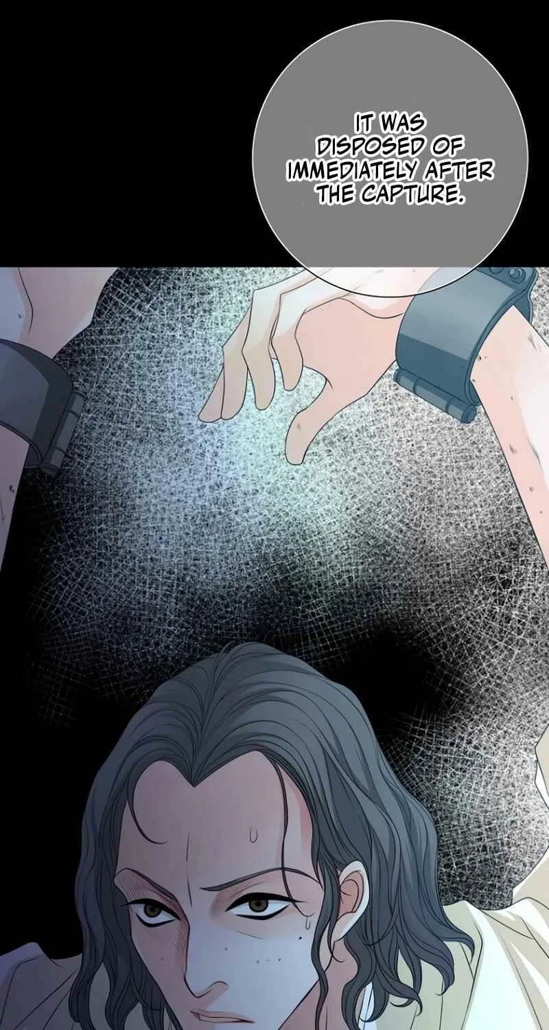 Read How He Got Divorced chapter 14 image 61 on Lezhin