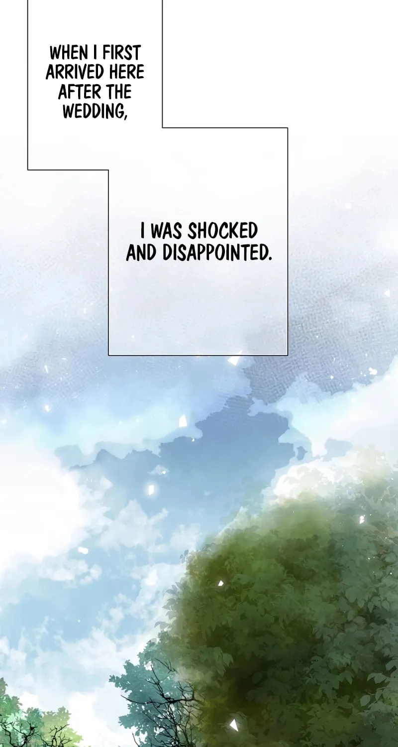 Read How He Got Divorced chapter 3 image 2 on Lezhin