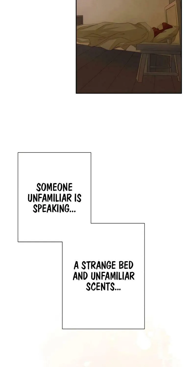 Read How He Got Divorced chapter 9 image 21 on Lezhin
